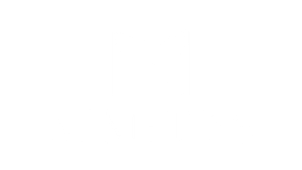 MIMETISS